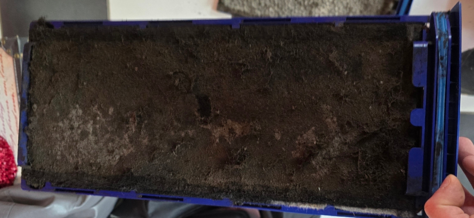 This filter should trap pollution — not become it.